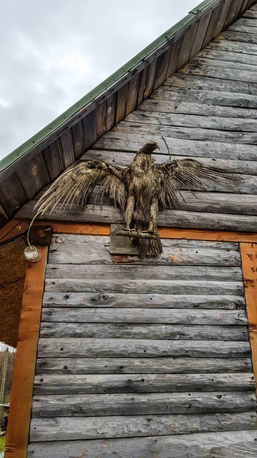 156